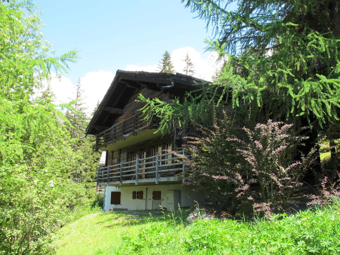 foto4