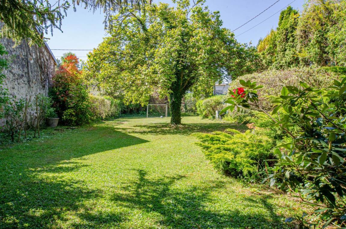 foto40