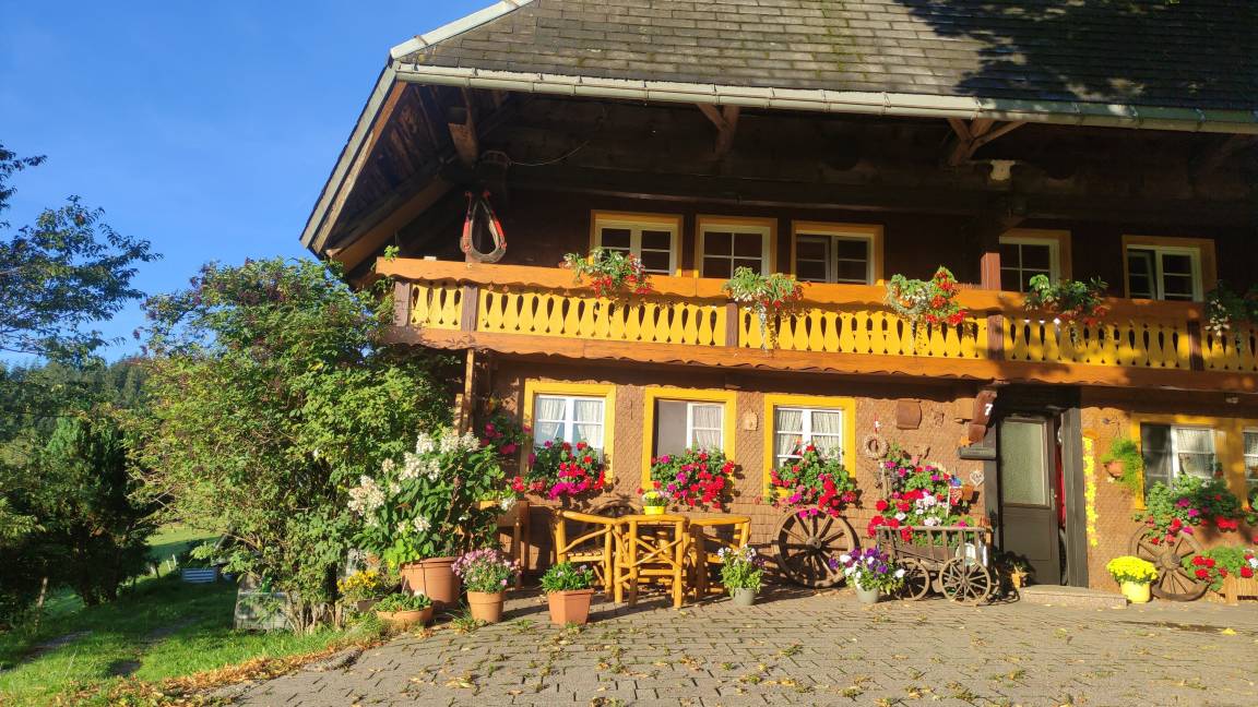 70 M² Ferienwohnung ∙ 3 Schlafzimmer ∙ 6 Gäste - Oberried