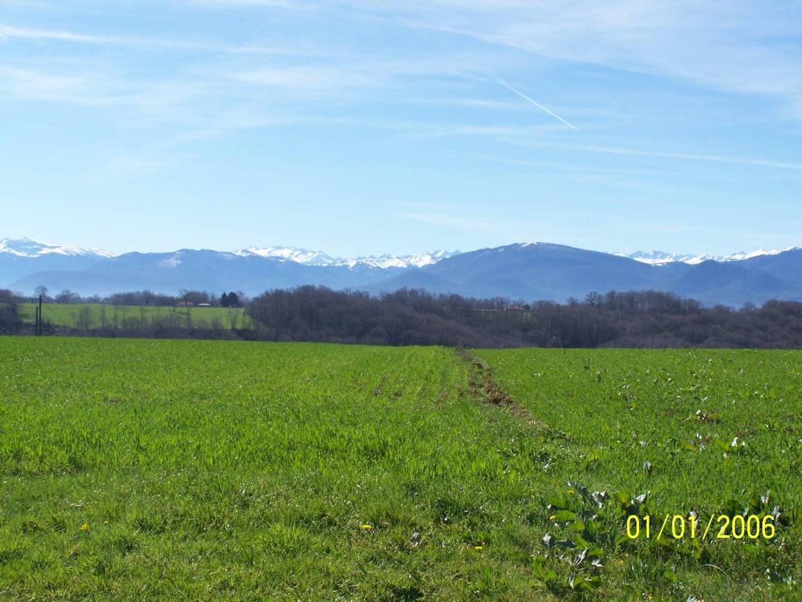 foto33