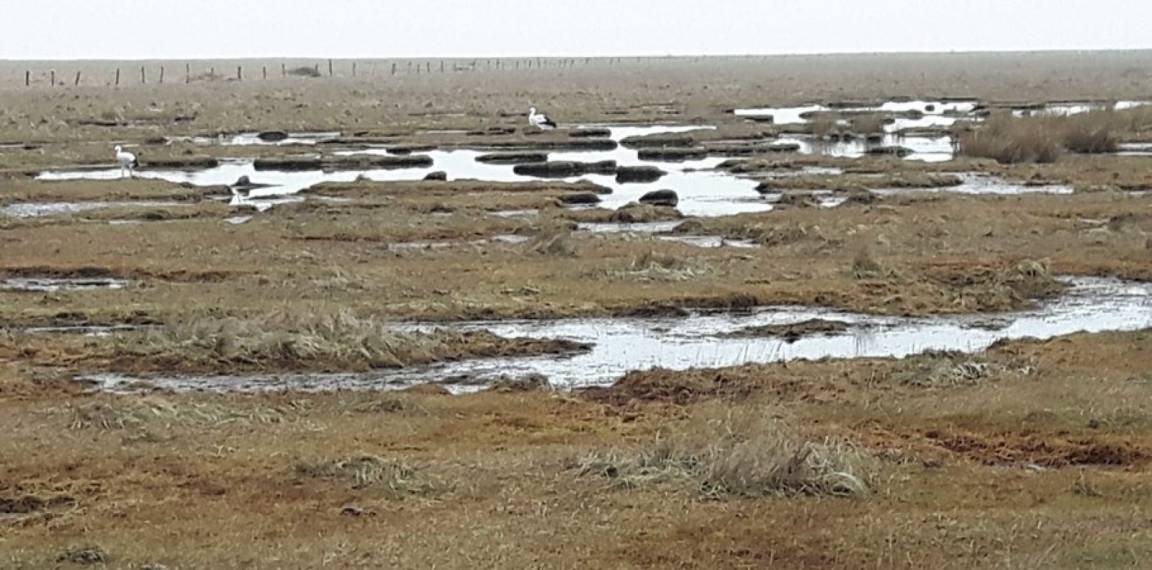 foto18