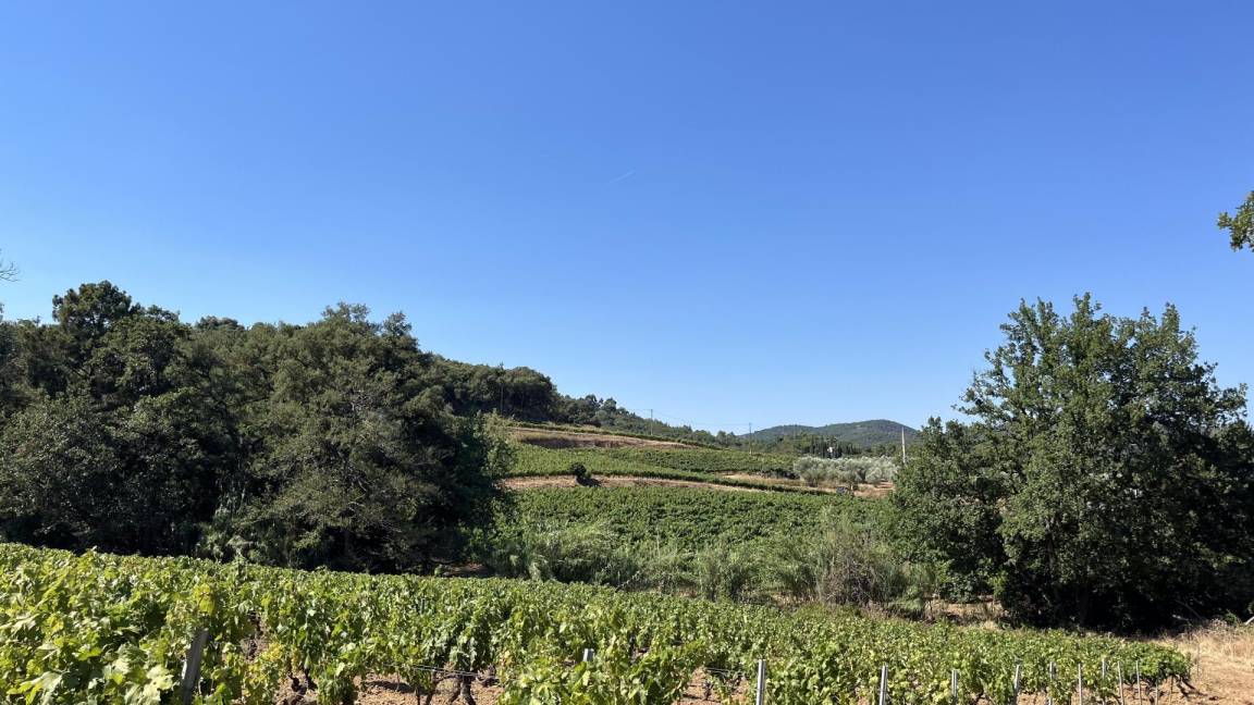 foto5