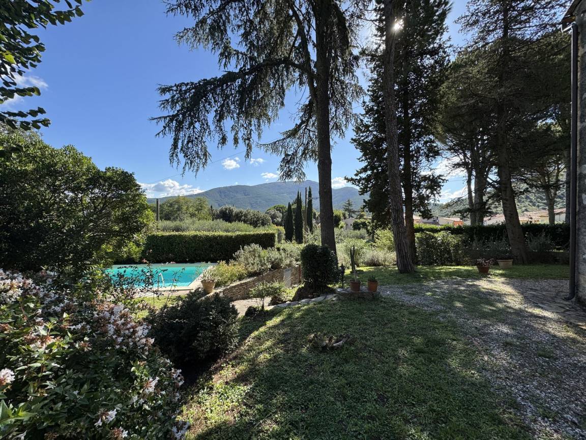 foto46