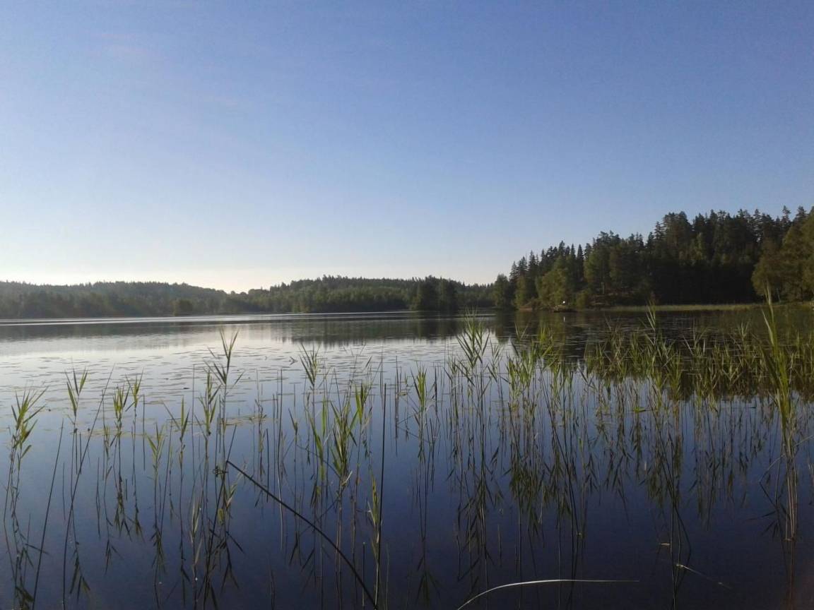 North Annex - Morsarvet af Sjofalla — photo 11