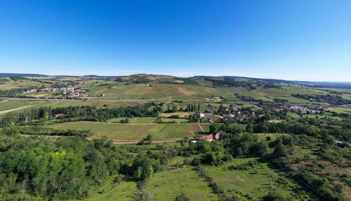 foto1