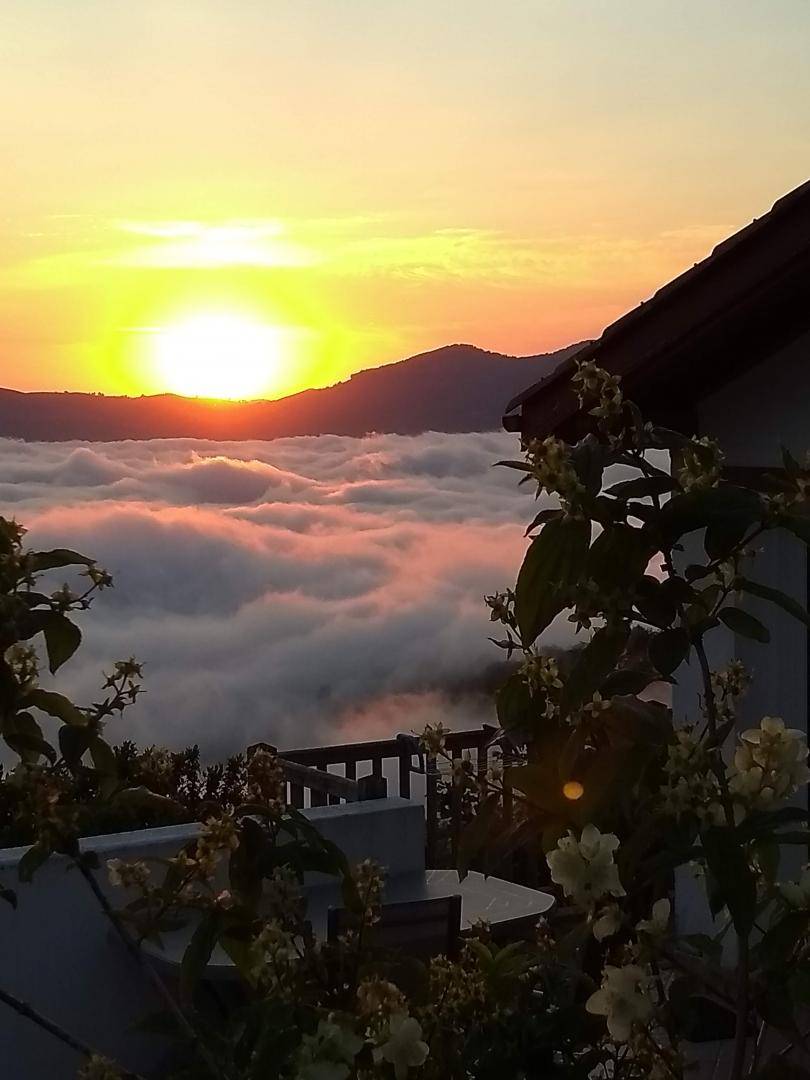 foto1