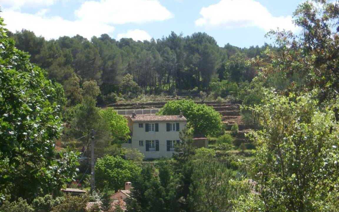 foto1