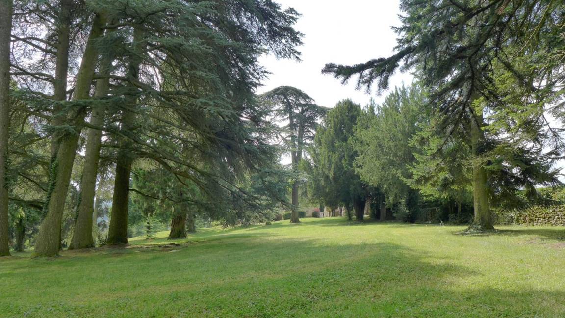 foto5