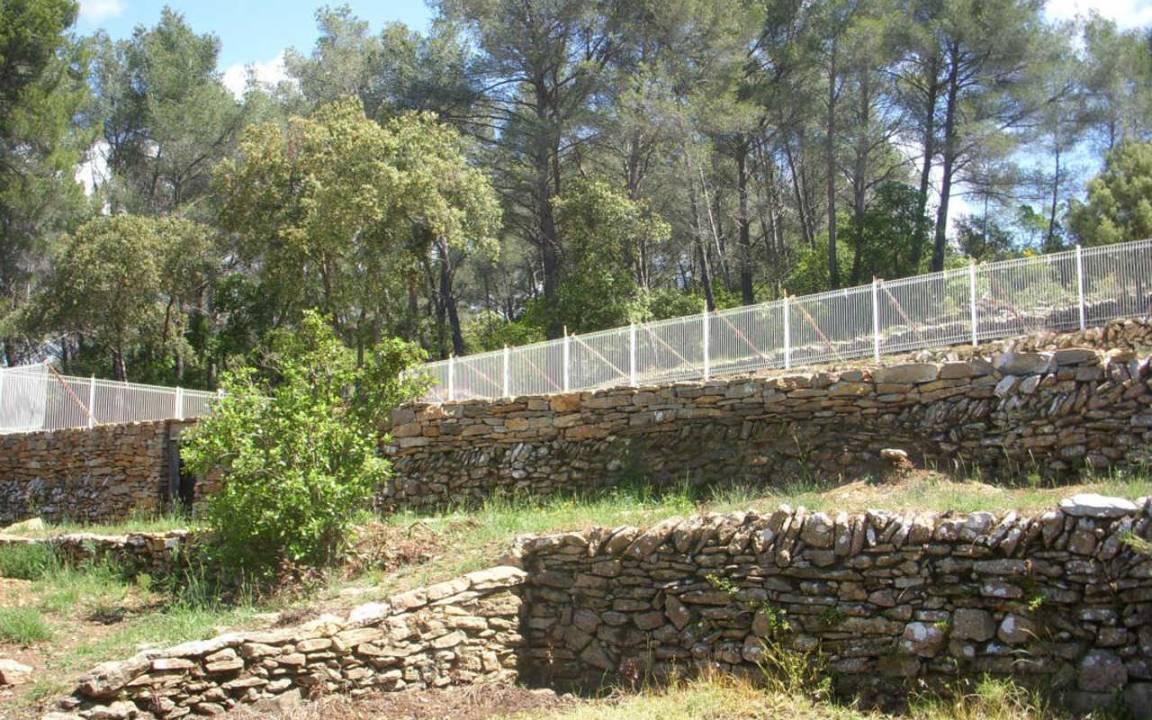 foto2