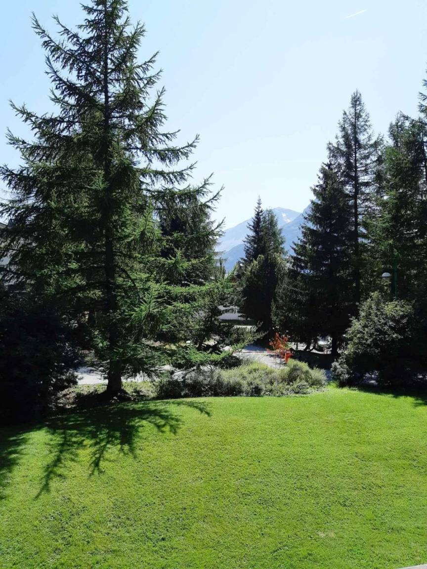 foto12