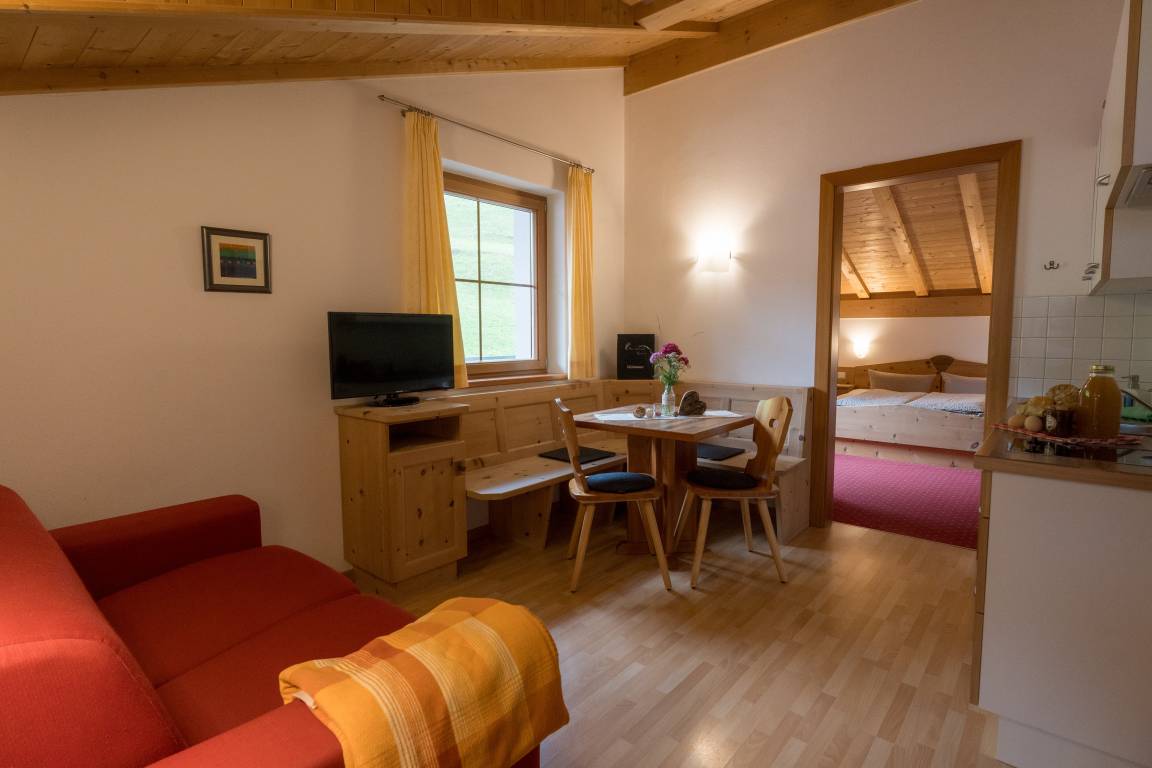36 M² Apartment ∙ 1 Bedroom ∙ 2 Guests - Burgeis