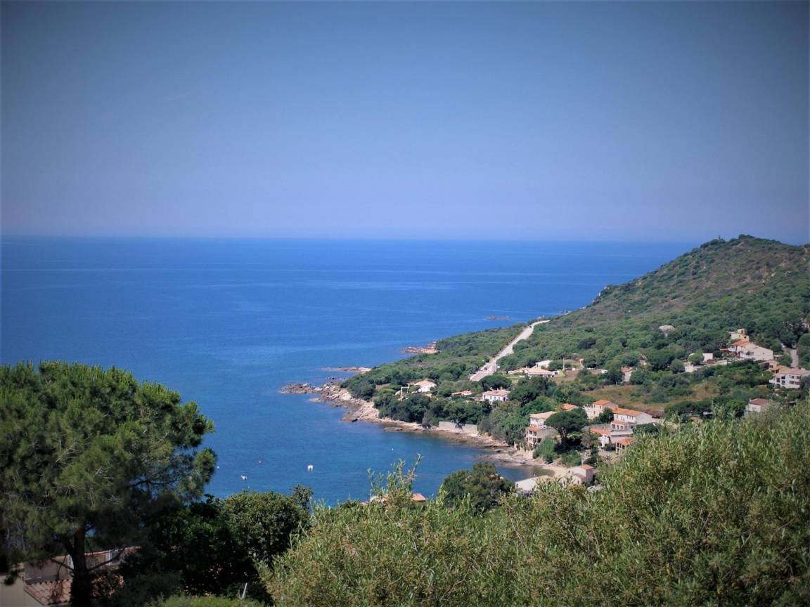foto1
