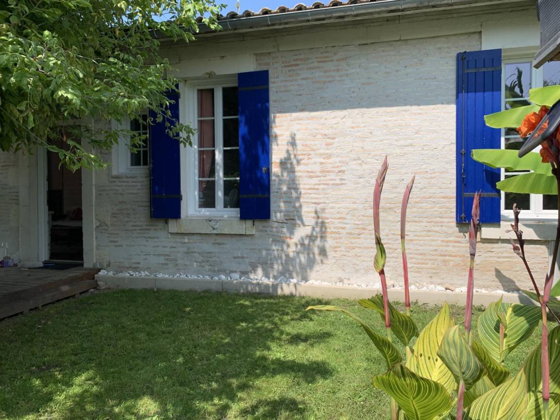 foto1