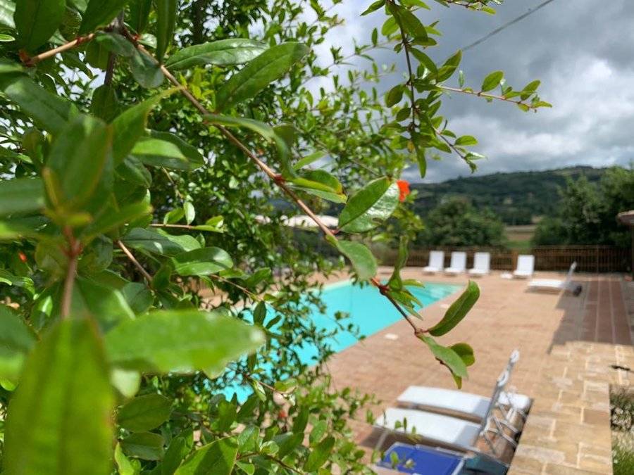 31 M² Boerderij ∙ 1 Slaapkamer ∙ 2 Gasten - Bastia Umbra