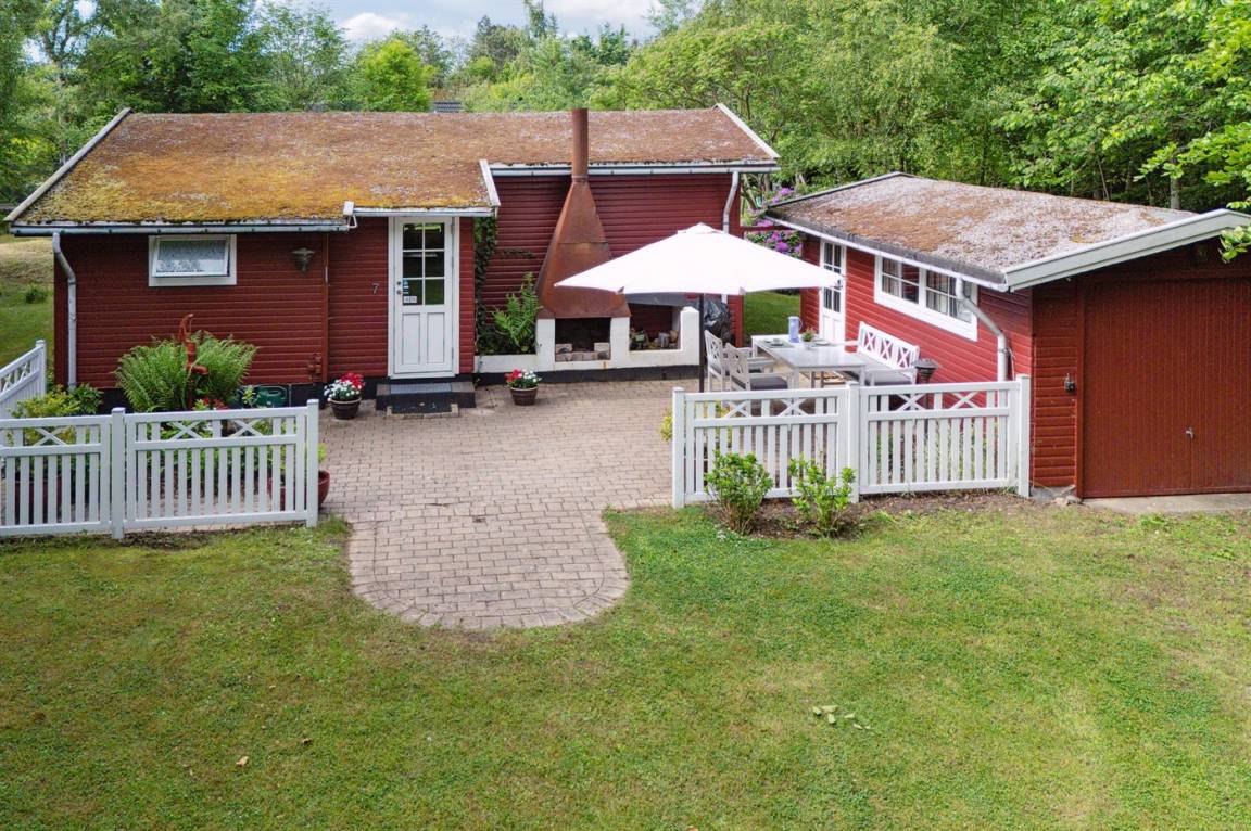foto4