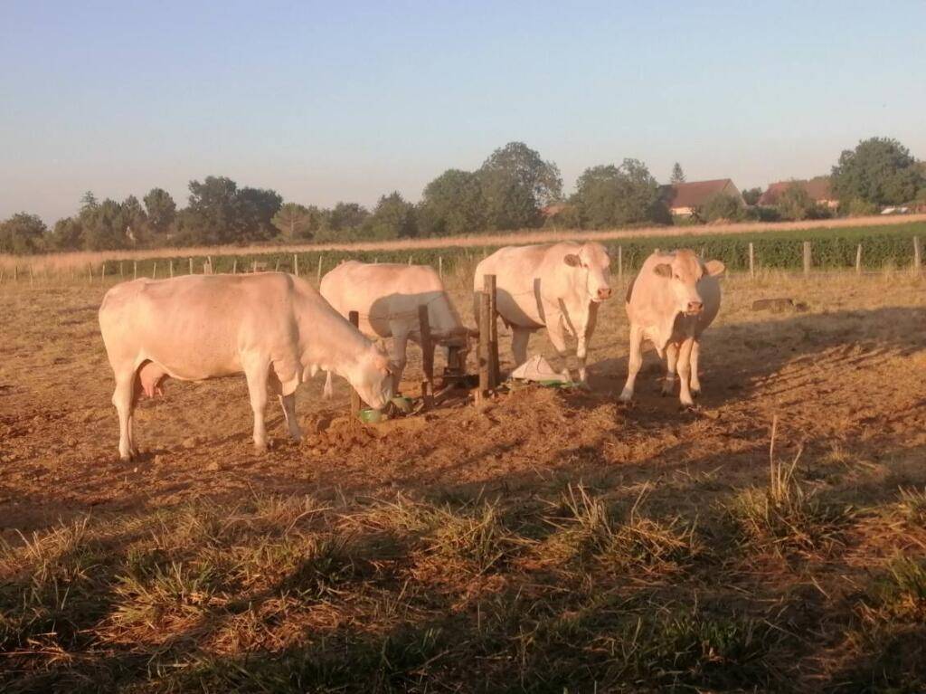 foto6