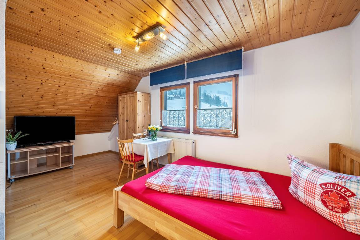 20 M² Ferienwohnung ∙ 1 Schlafzimmer ∙ 1 Gast - Todtnauberg