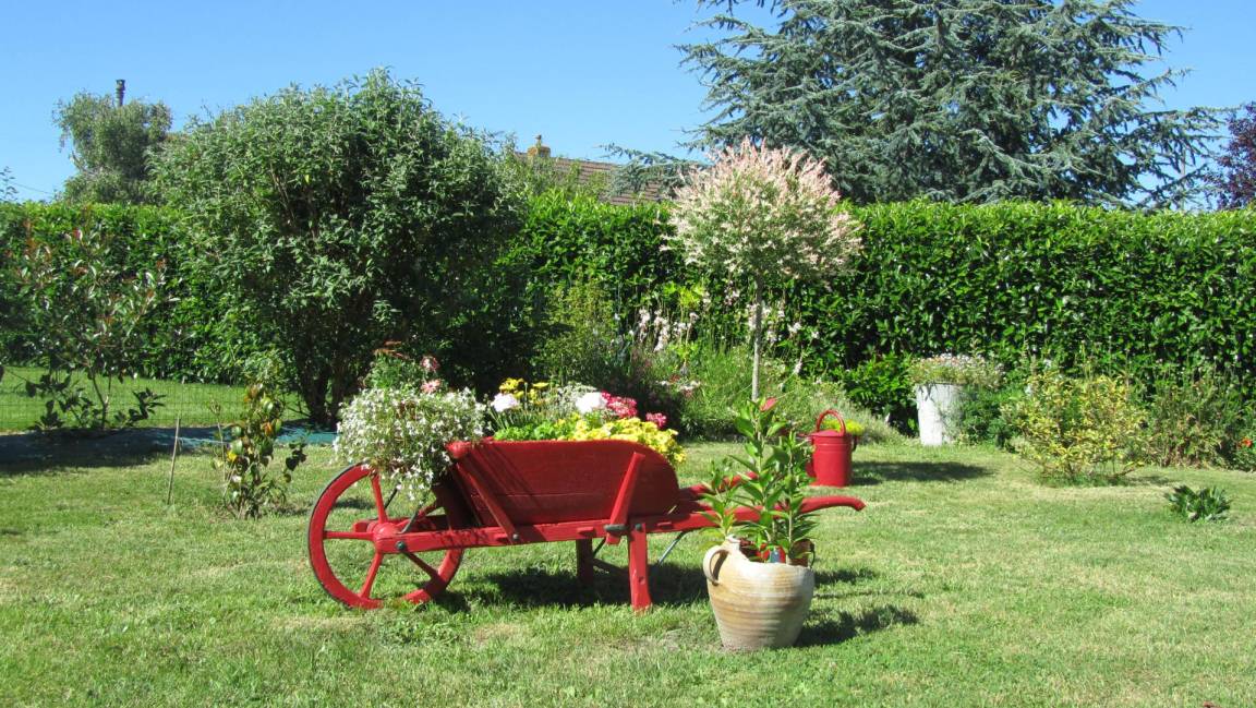foto21