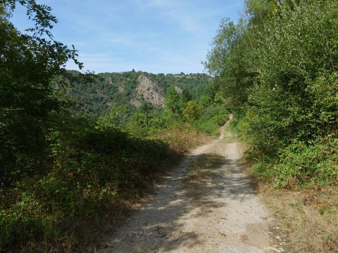 foto16