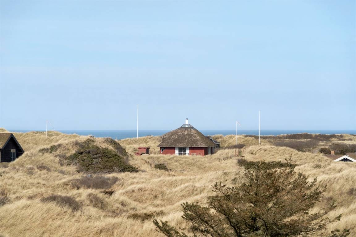 foto20