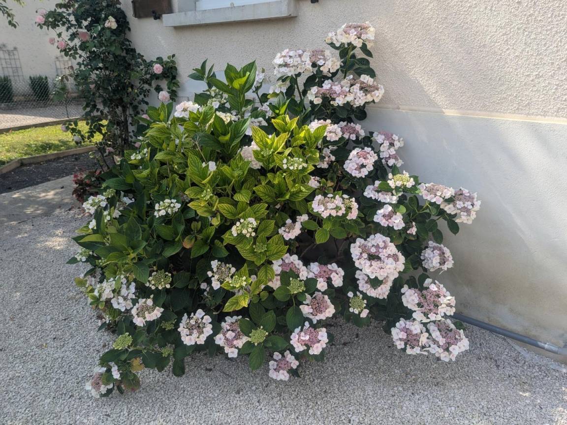 foto31