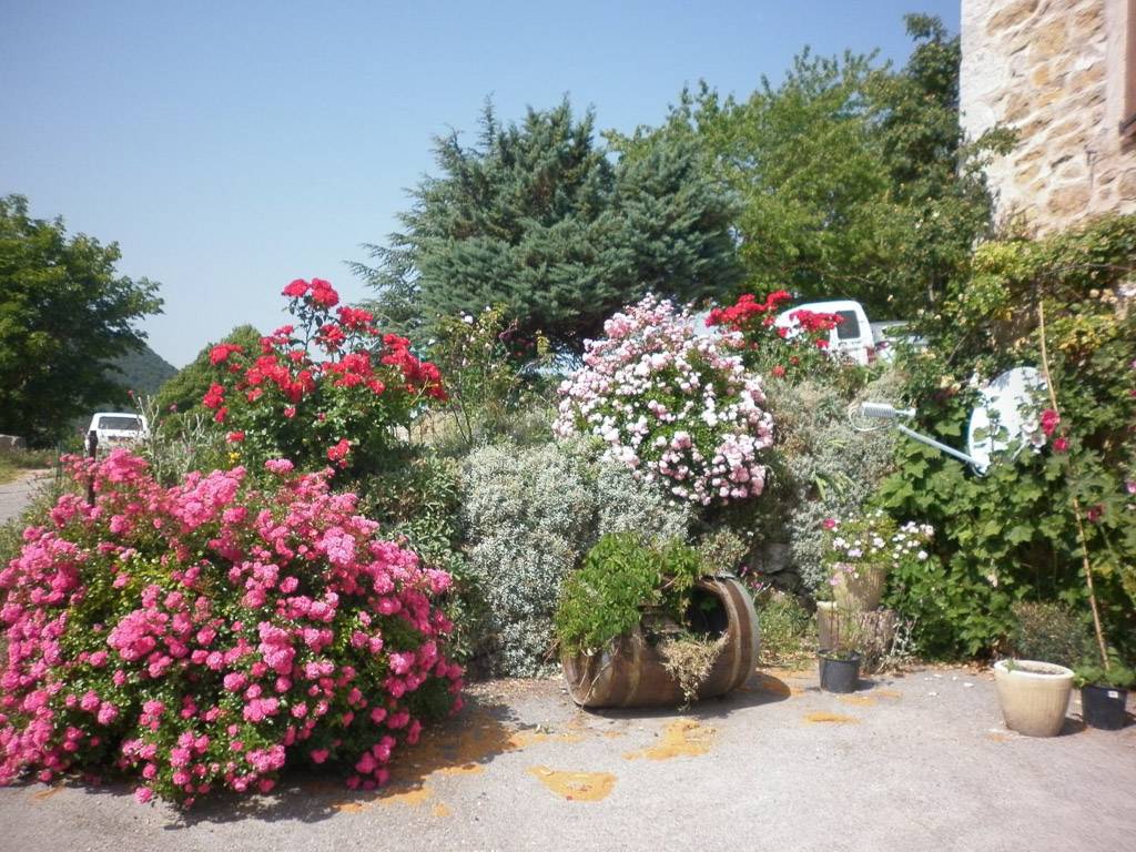 foto14