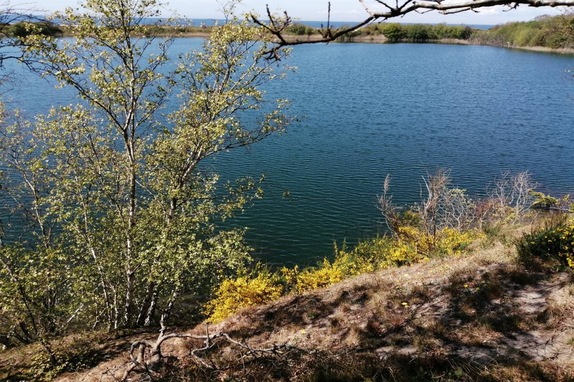 foto28