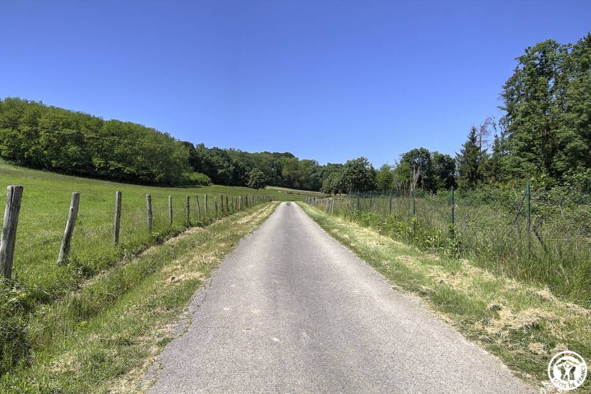 foto15