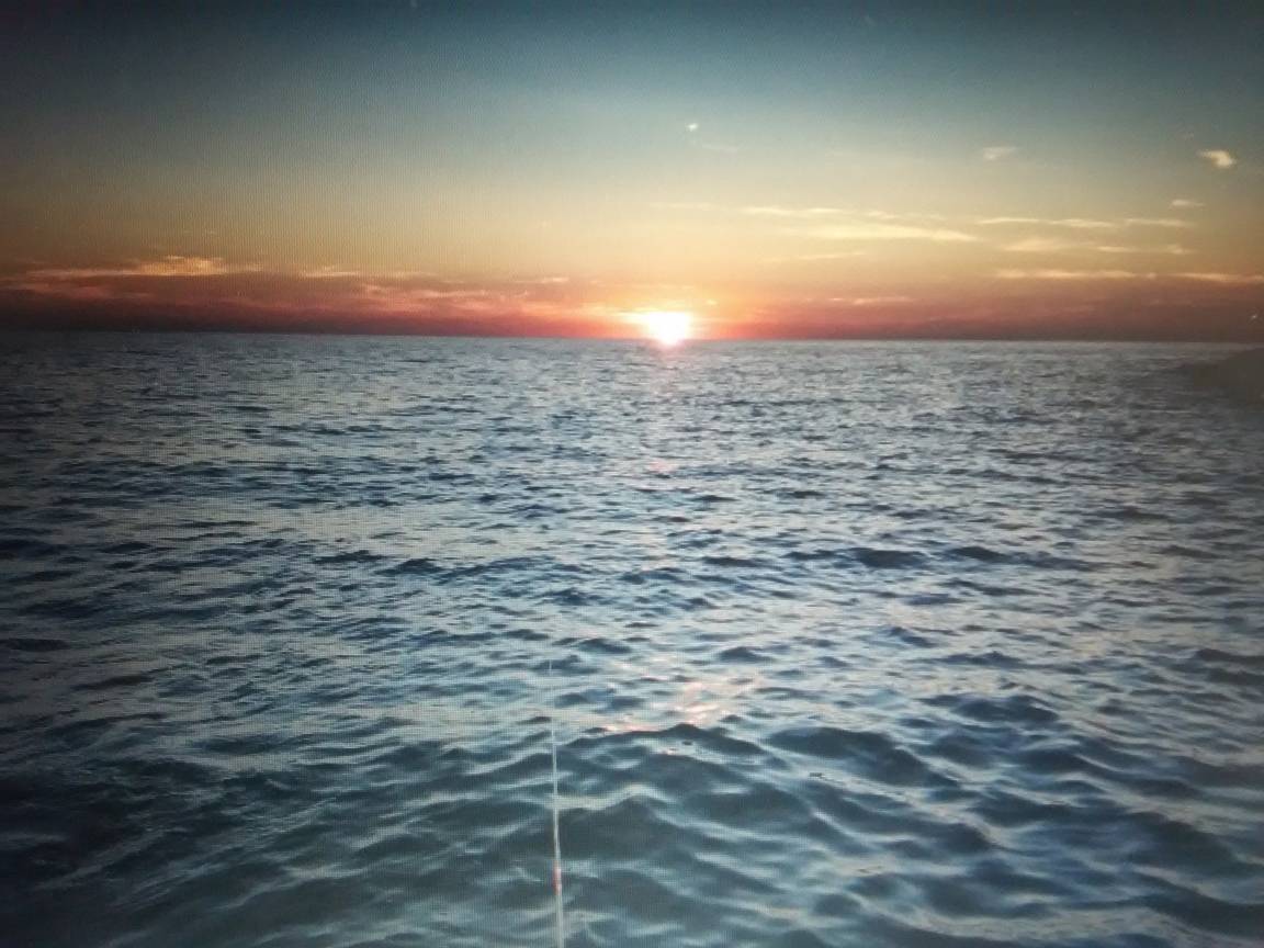 foto21