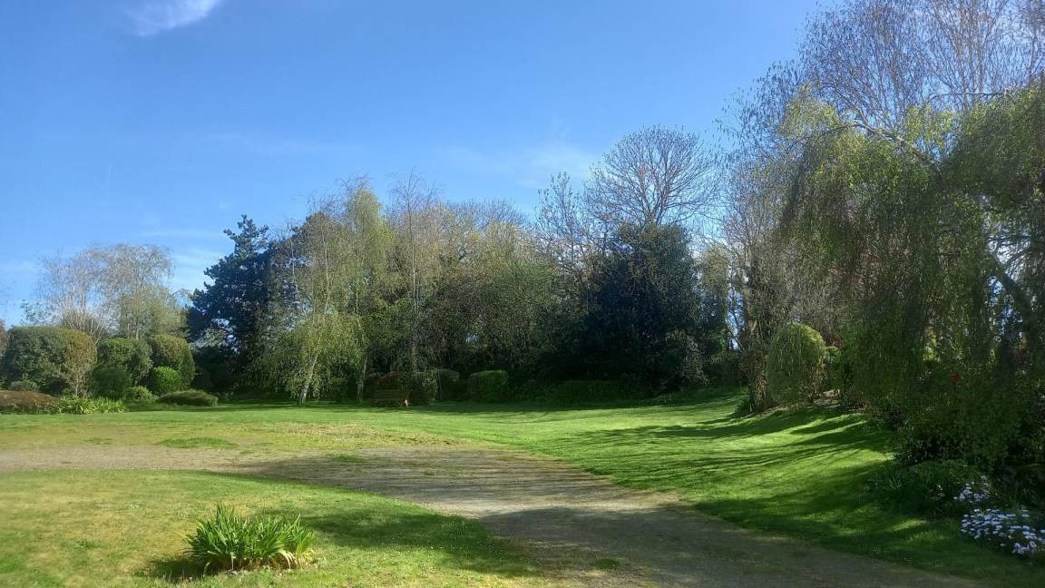 foto14