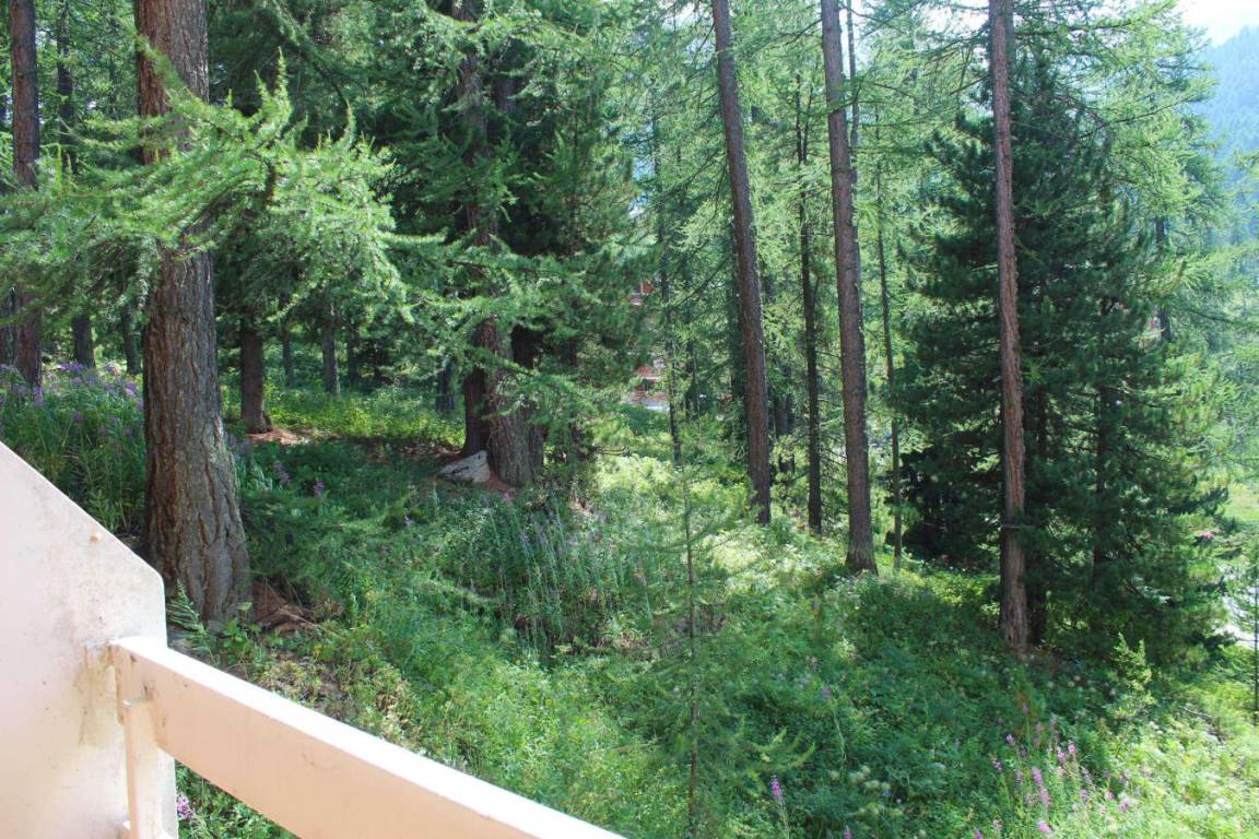 foto14