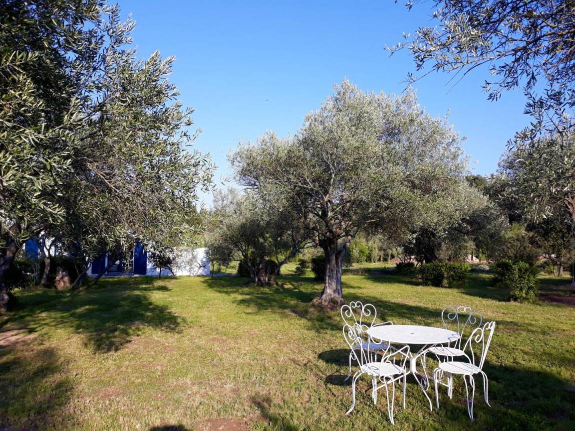 foto21