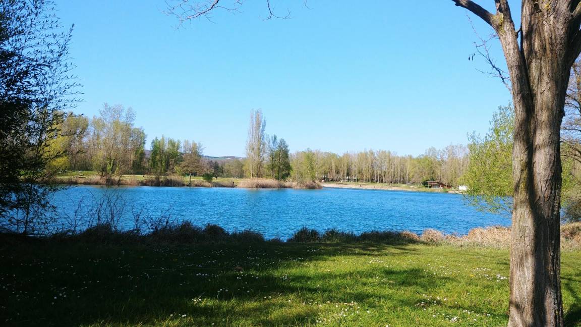 foto44