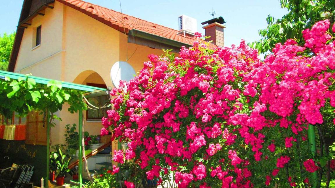 58 M² House ∙ 2 Bedrooms ∙ 5 Guests - Balaton