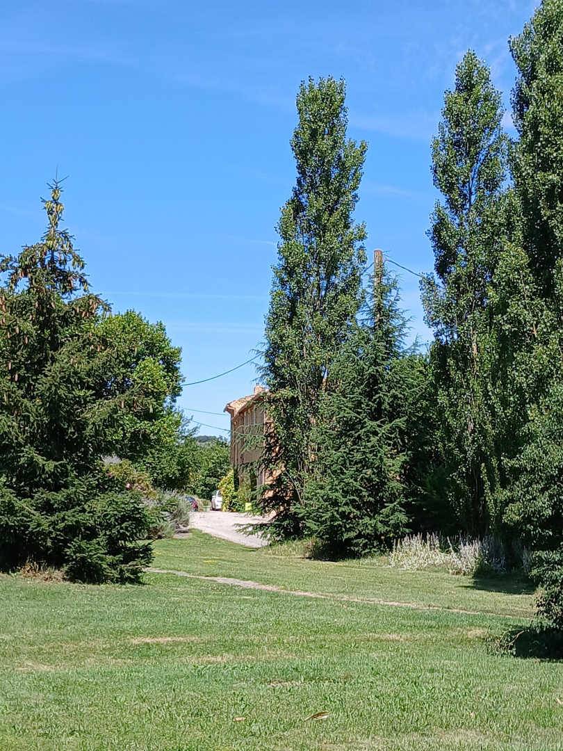 foto20