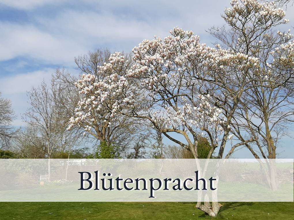 64 m² Ferienwohnung ∙ 2 Schlafzimmer ∙ 4 Gäste – Bild 14