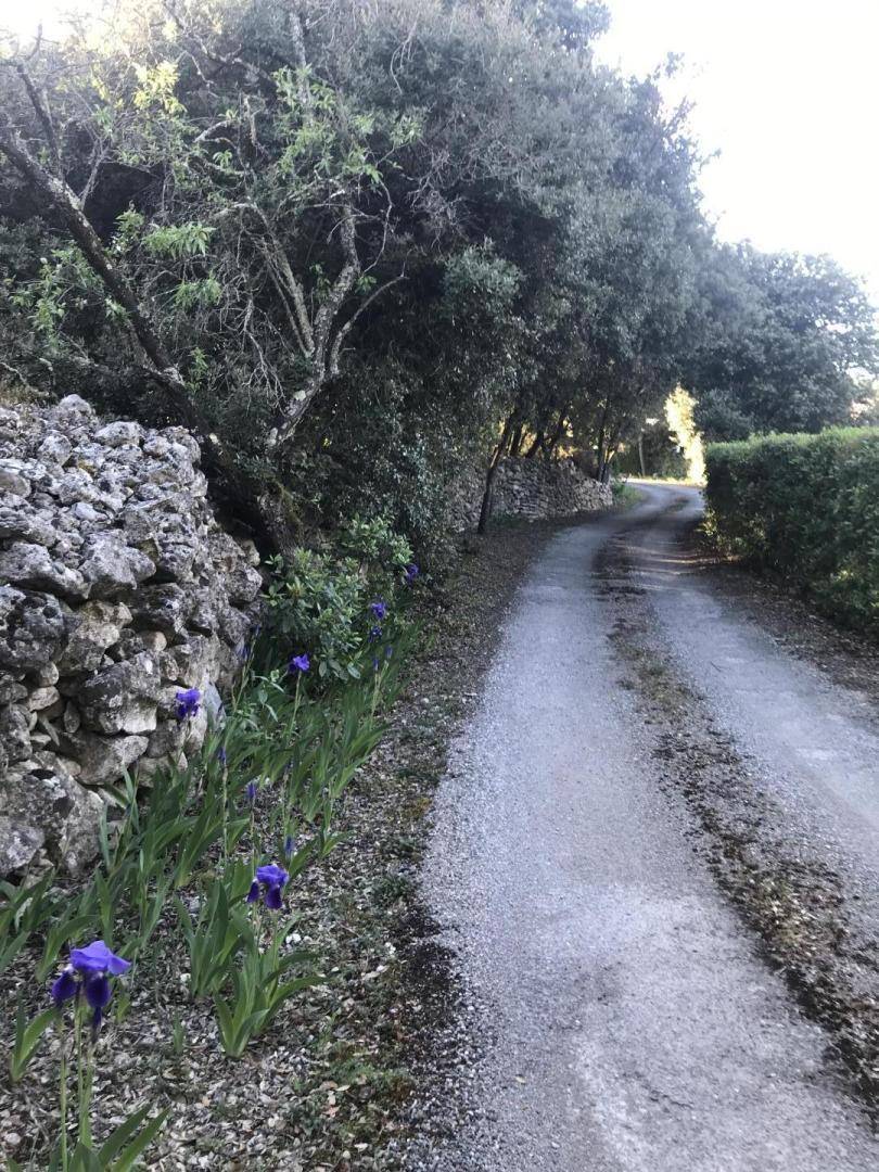 foto35