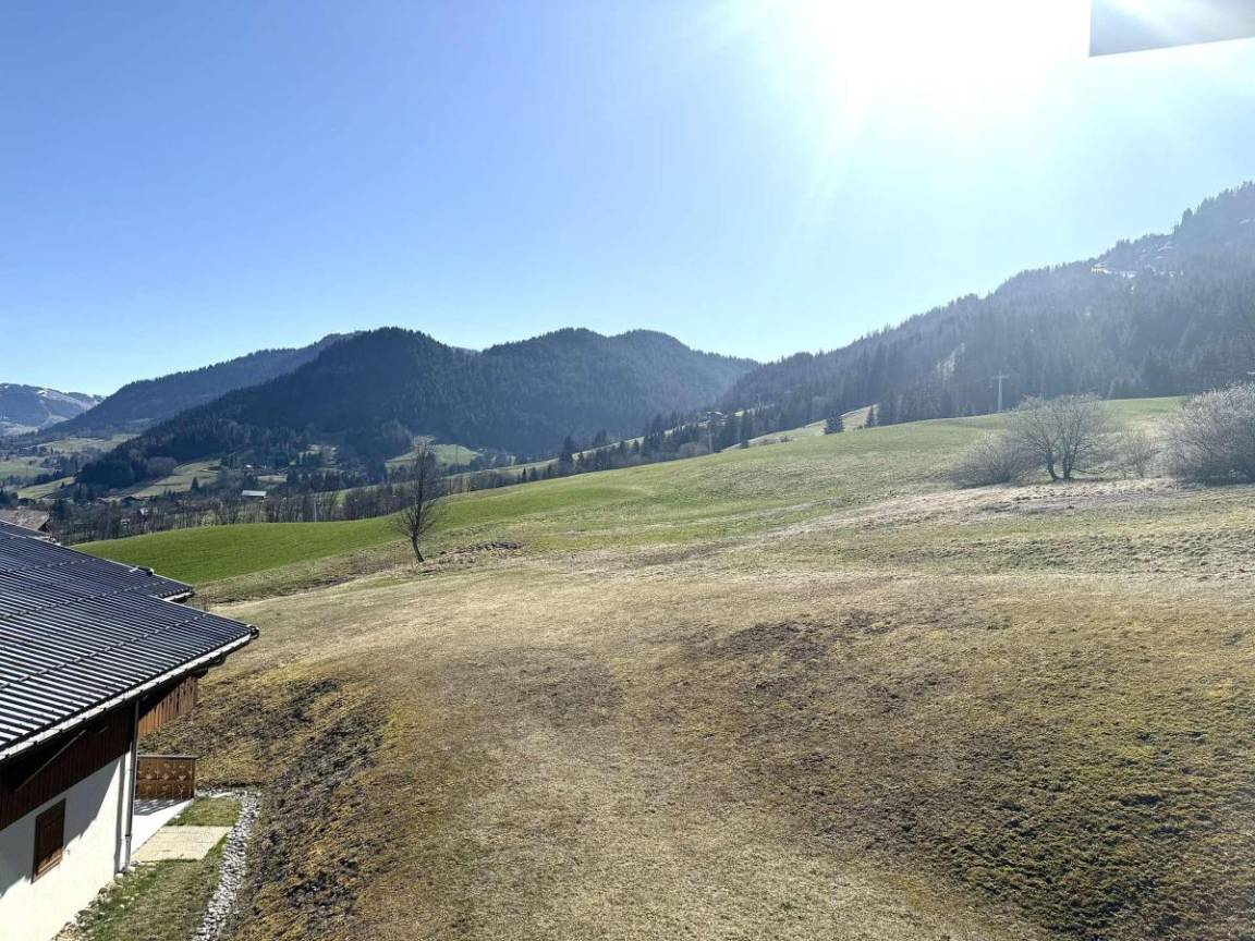 foto16