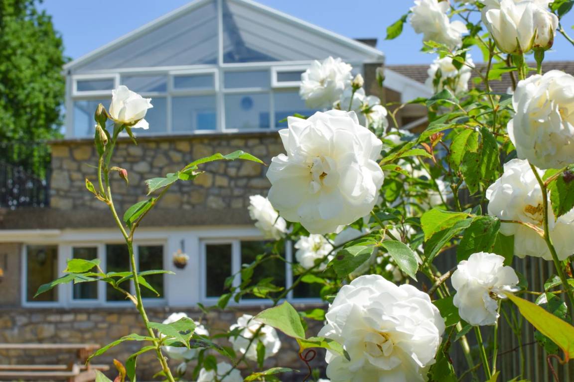 Cottage ∙ 2 Bedrooms ∙ 4 Guests - Cowbridge