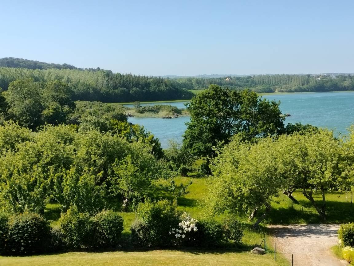 foto42