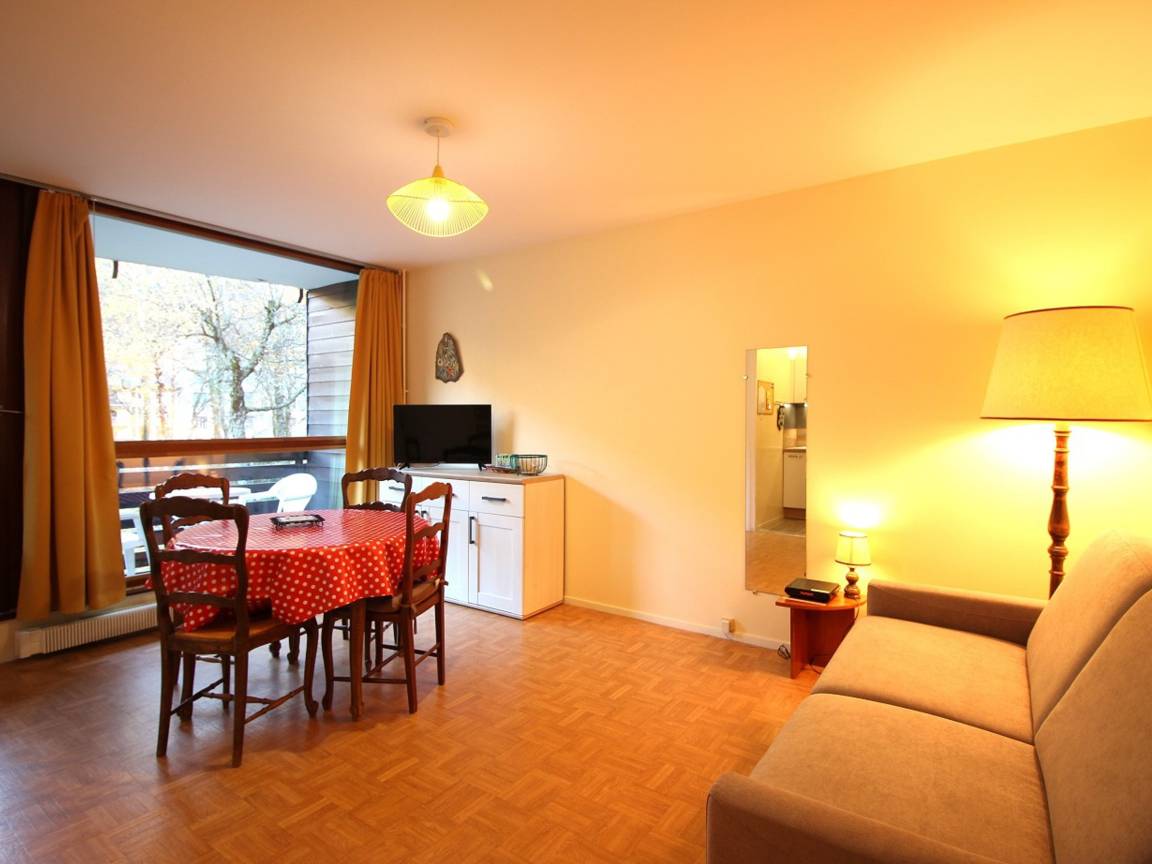35 M² Appartement ∙ 1 Chambre ∙ 4 Personnes - Puy de Sancy