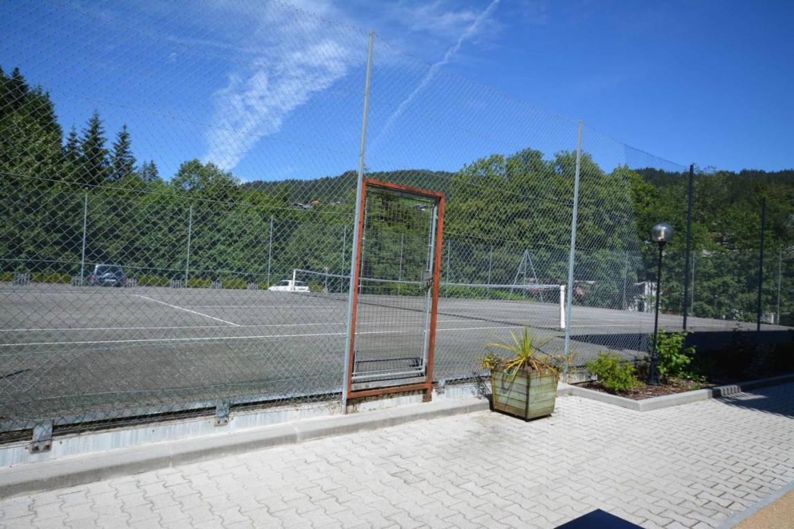 foto11