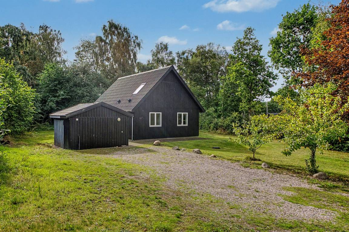 foto1