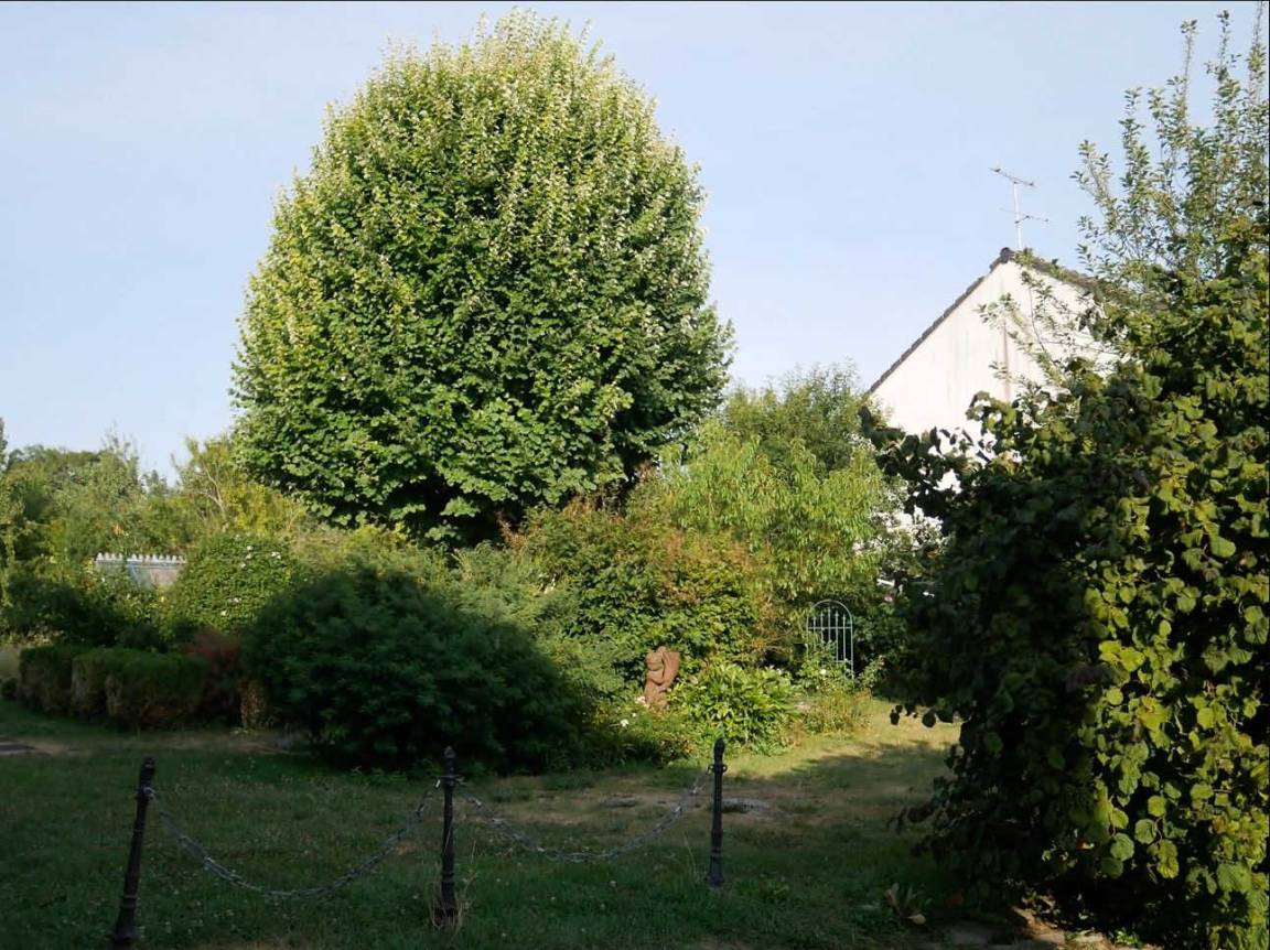foto23