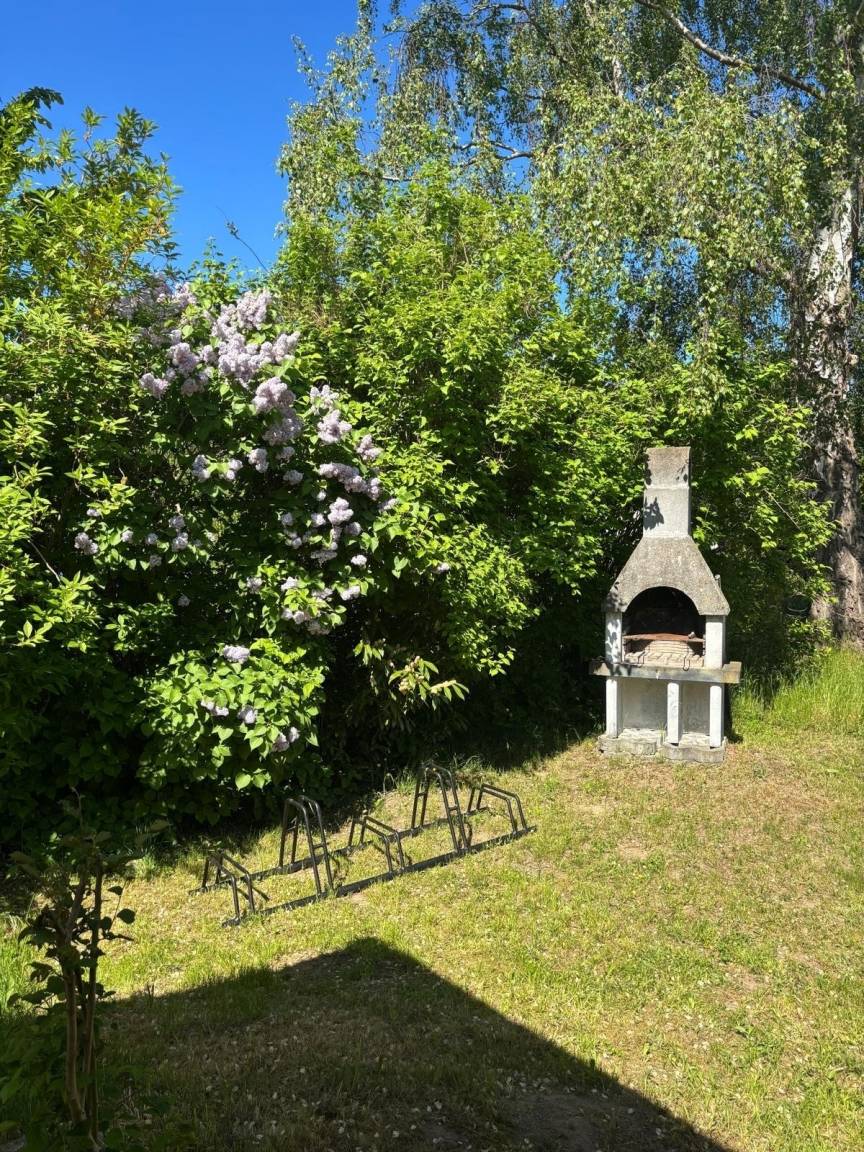 foto35