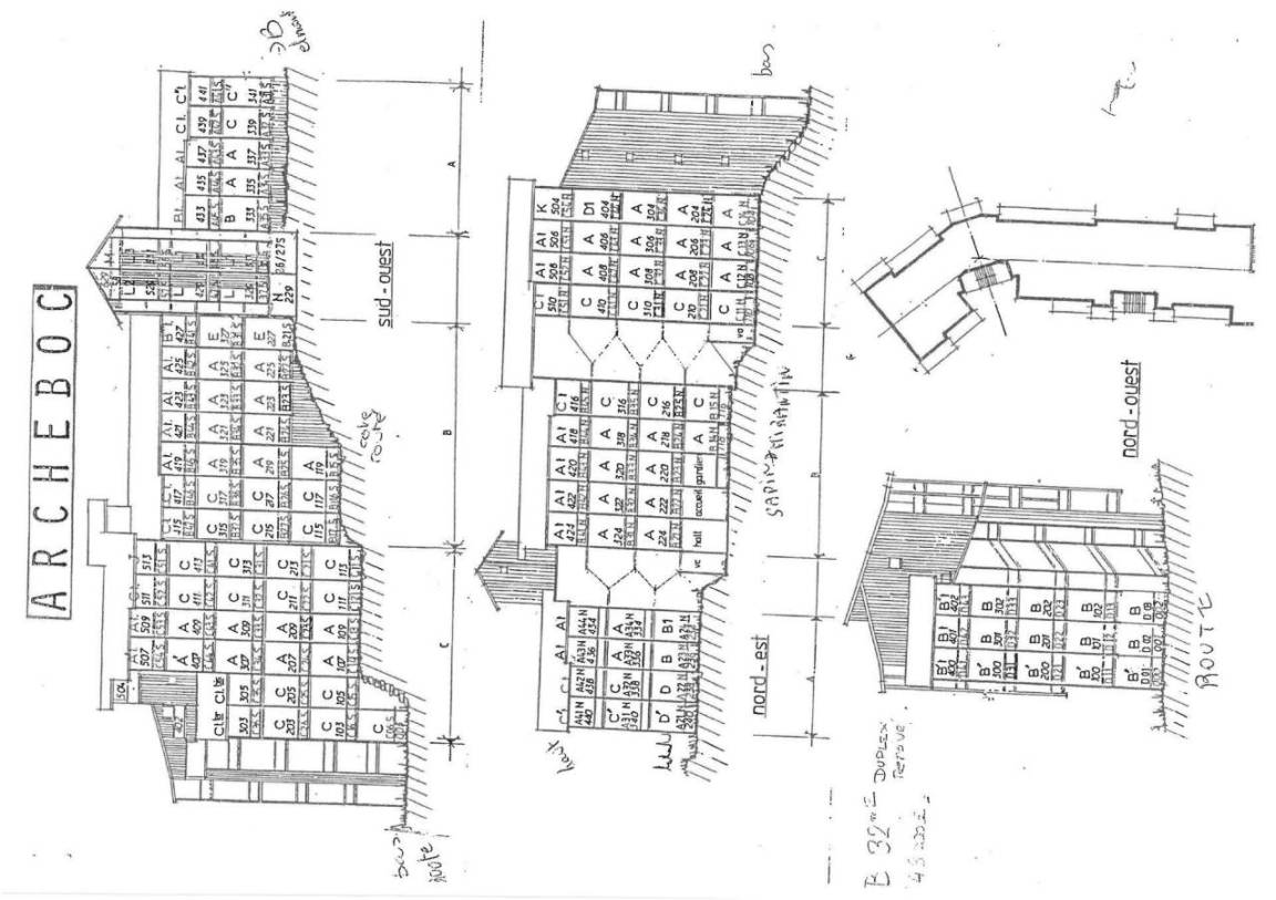foto11