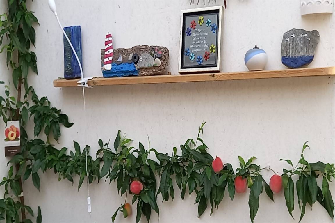 foto24