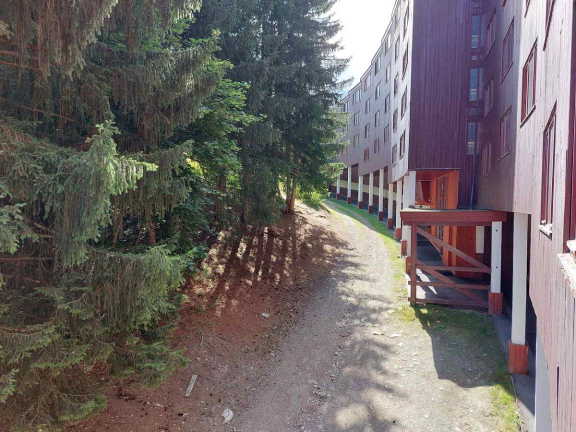 foto19