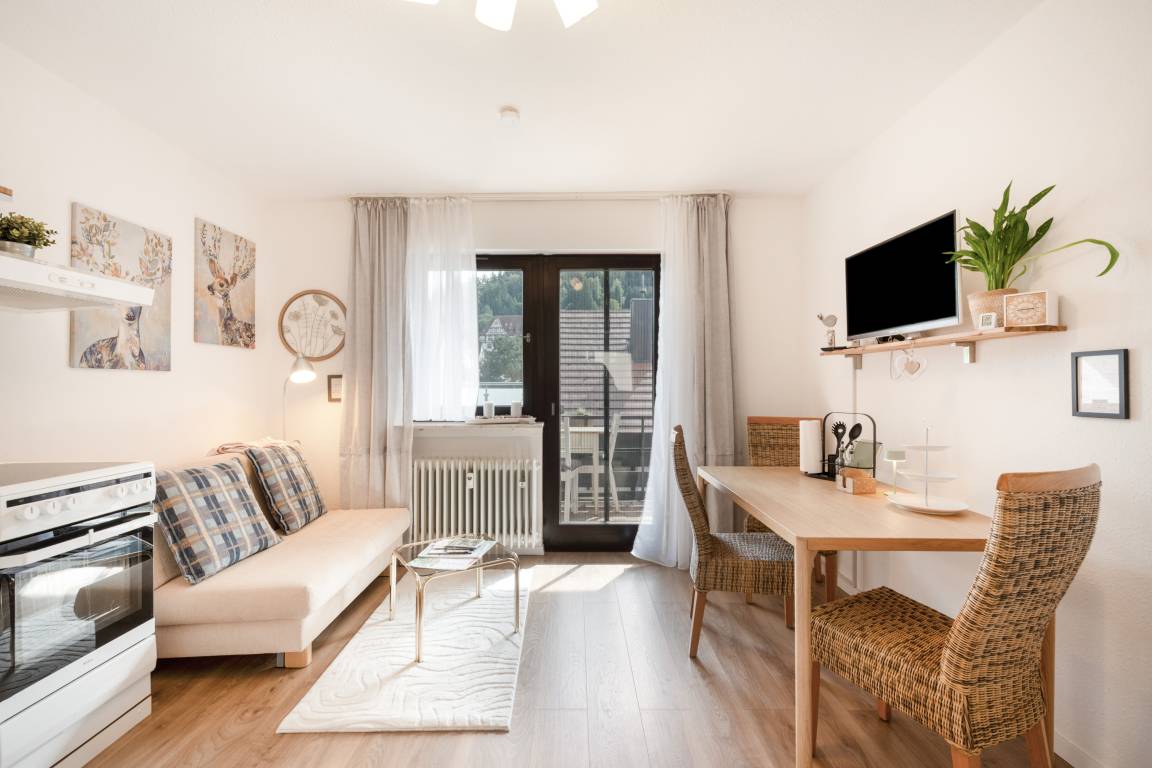 30 M² Apartment ∙ 1 Bedroom ∙ 3 Guests - Pforzheim