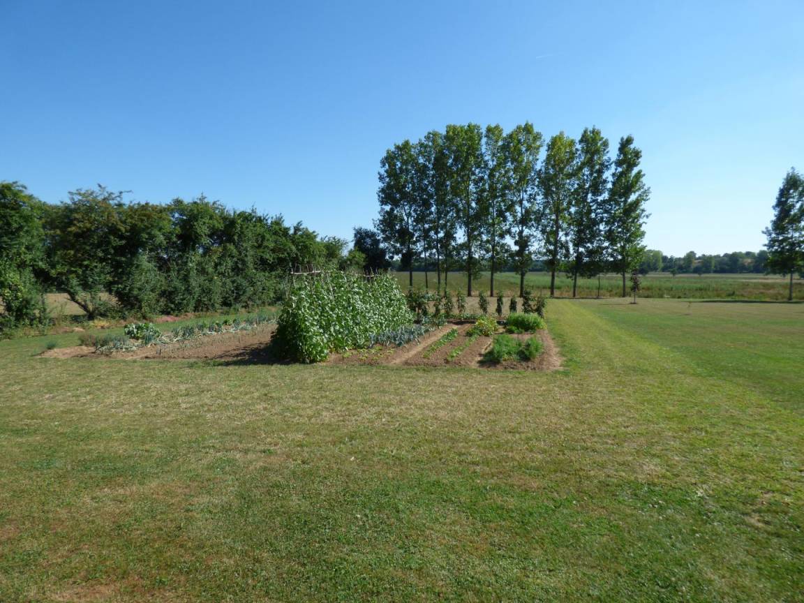 foto7
